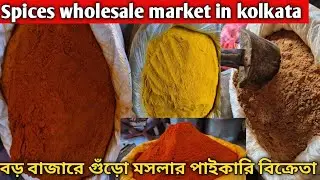 বড়বাজারে গুঁড়ো মসলার সবথেকে বড় পাইকারি বাজার/Wholesale spice market in Kolkataposta bazar Kolkata