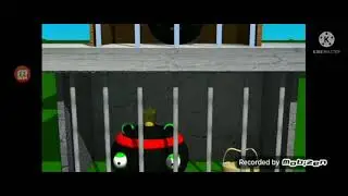 Angry birds ninja swine 3d world meme