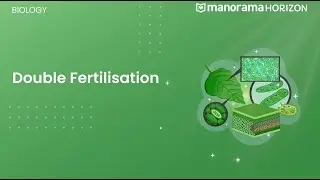 Double Fertilisation