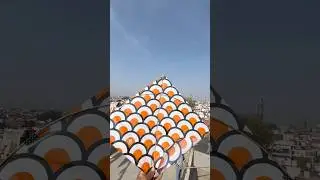 kite looting 😄🪁 #shorts #kiteflying #funny #youtubeshorts