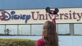 dcp spring 2025 acceptance video! application process and timeline!