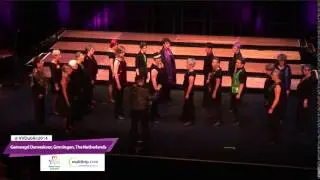 Gemengd Dameskoor Groningen - Various Voices 2014
