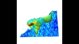 Activation of Rap1 in dorsal ruffles 3D analysis using ImageTank