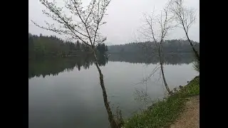 Live: lake Zbilje, Slovenia (April 28th, 2021)