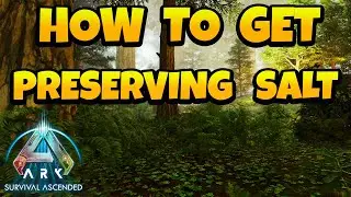 Как сделать соль для консервации в Ark Survival Ascended