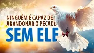 Como a MANIFESTAÇÃO do Espírito Santo acontece em nós?