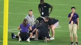 Ravens mascot Poe gets injured & is carted off the field 😢