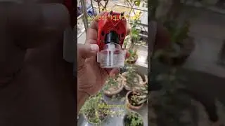 Good Knight Xpress System Liquid Vaporizer Refill #Shorts