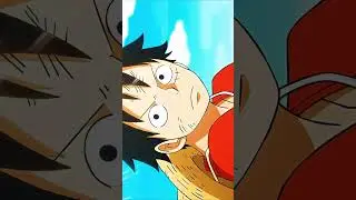 Monkey d puffy