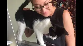 My Cat is Found Safe and Sound After Missing for 3 Years!
