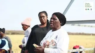 Midlo and Masholomoshe Irrigation Schemes Connect with the Private Sector in Matabeleland South