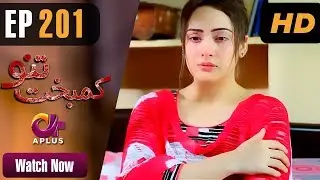 Drama | Kambakht Tanno - EP 201 | Aplus | Shabbir Jaan, Tanvir Jamal, Sadaf Ashaan | C2U1