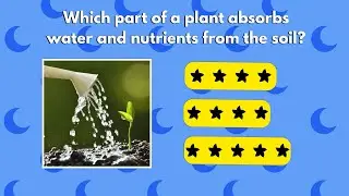 QUIZZED : Lets check our Botany Knowledge