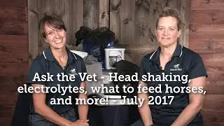 Ask the Vet - Head shaking, electrolytes, what to feed horses, and more! - July 2017