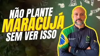 Como Plantar Maracujá do Zero e Ter Alta Produção (Método da Fazenda)