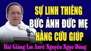 Sự Linh Thiêng Của Bức Ảnh Đức Mẹ Hằng Cứu Giúp  - Bài Giảng Cảm Động Của Cha Anrê Nguyễn Ngọc Dũng