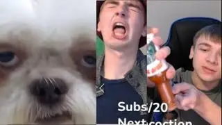 Hardest Try Not To Laugh Challenge Ever