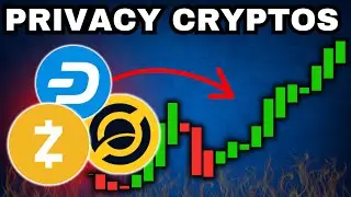 Монеты конфиденциальности не остановить - ZEN, DASH, ZEC