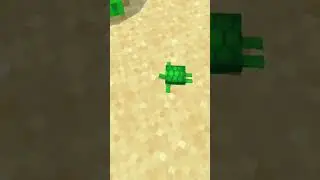 I Found A Baby Turtle In Minecraft|Java Edition|#shorts