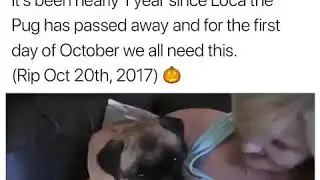 RIP LOCA THE PUG