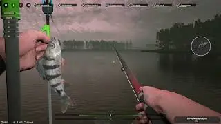 Professional Fishing 2 #34 чайное прохождение