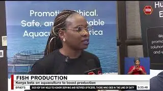 Kenya bets on aquaculture to boost fish production