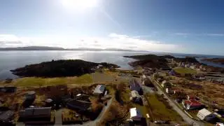 Abelv&aelig;r p&aring;ska 2014