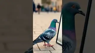 Las palomas son m&aacute;s inteligentes de lo que crees 🕊️😳 #datoscurisos #sabiasque #paloma