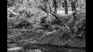 Landscape Photographs and Walking to an Abandoned Bridge (Harsh Light)