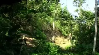 Ecuador, viaje a la selva amaz&oacute;nica  Documental