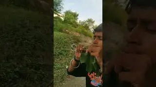 I MAKED BUBBLE FROM LEAF #viral #shorts #trending #youtubeshorts #new