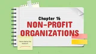 Chapter 16 - Non-profit Organizations