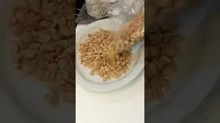 Amazing peanut sounds ASMR #shorts #satisfying #peanut #sound #relaxing #enjoy #viral #trending