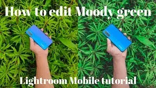 How to edit Moody Green | Green tone | Lightroom Mobile tutorial Mr.khachack