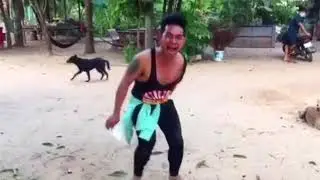 😃😃😃😃Prank Dog funny //and //fake lion //Big box prank to 🐶🐶🐶🐶🐕vedio😁😁😁😁