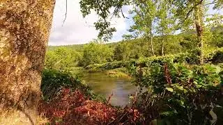 Calming River Summer Ambience Timelapse East Branch Delaware River, Downsville NY part 1