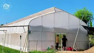 Indonesian Greenhouse Project 🌱 NFT Hydroponics + Dutch Bucket System | Smart Farming