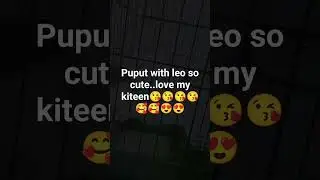 puput andnleo my kiteen