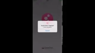 Protecting Enterprise Mobile Apps with Capsule Workspace
