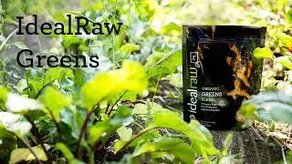 Organic Greens Powder | Clean Nutrition, Neutral Taste | IdealRaw