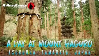 A day at Mount Haguro