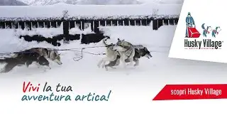 Husky Village - Vivi la tua avventura artica!