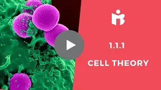 1.1.1 Cell Theory and the Exceptions (IB Biology)