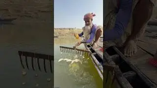 Traditional fishing with unique hook traps video. #bait #fishing #fishinglife