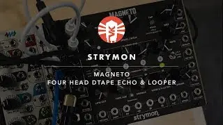 Strymon Magneto | Modular Synthesizer | Vintage King