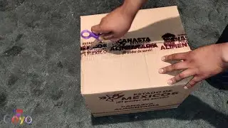 Apertura de canasta alimentaria del programa social 