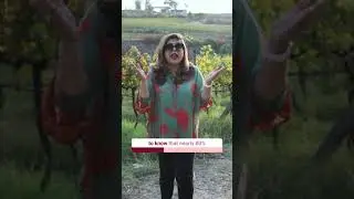 Nashik: India&rsquo;s Wine capital 🍷| Sonal Holland Master Of Wine