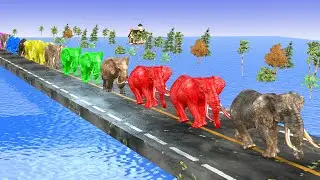 Elephant Color Changing Fun 🐘🌈 | Kids Animation