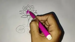 Easy lotus 🪷 drawing#easy #drawing #art#lotusflower #easyartdrawing