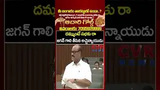 దమ్ముంటే సభకు రా జగన్ గాలి తీసిన అచ్చెన్నాయుడు | Atchan Naidu VS Jagan | CVR News